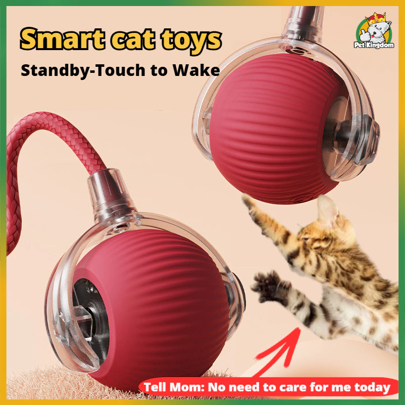 45% OFF Smart Cat Toy Automatic Charging Electric Cat Ball Toy Fast Rolling Dog Cat Play Training Ball