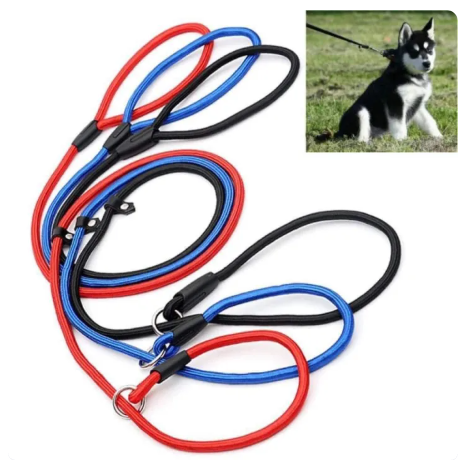 71% OFF Pro Pet Dog Nylon Rope Training Leash Slip Lead Strap Adjustable Traction Collar size (L)