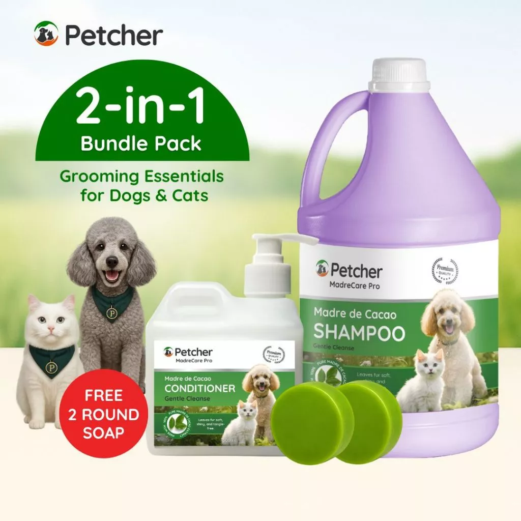 50% OFF Petcher Madre De Cacao Pet Shampoo and Conditioner Sulit Bundle for Dogs and Cats