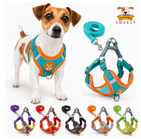 69% OFF Pet Dog Harness With Leash Reflective Vest Leash For Dog Cat Puppy Vest Harness