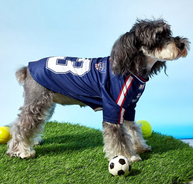 7% OFF PETSIN 1pc Pet Cat/Dog Universal #23 Blue Sports Jersey Shirt With Letter Print, Fashionable Casual Sporty & Comfortable Pet Clothes