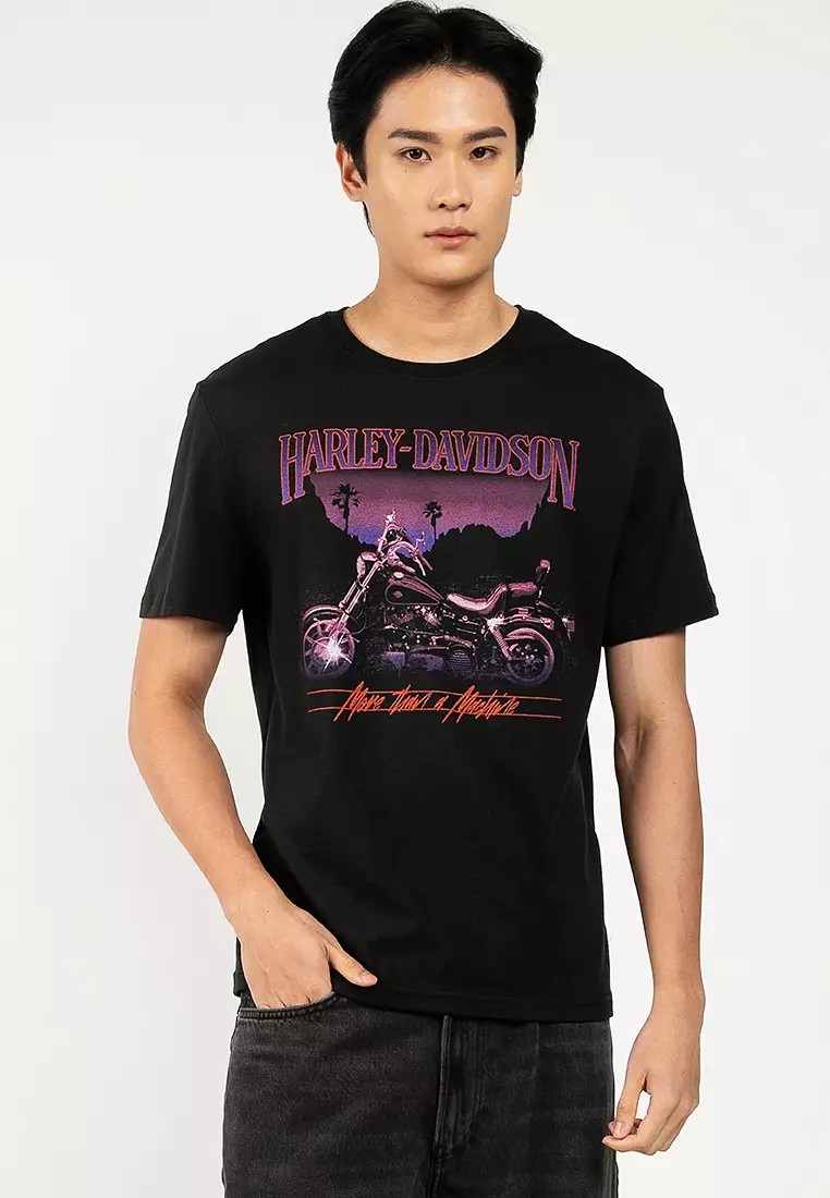 30% OFF Harley-Davidson® Lowrider Sundown Graphic Tee