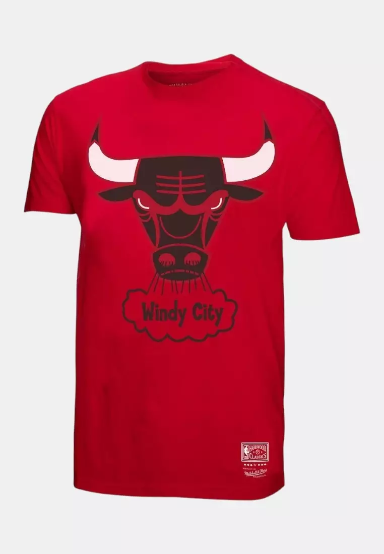 30% OFF Mitchell & Ness Chicago Bulls Graphic Team Logo