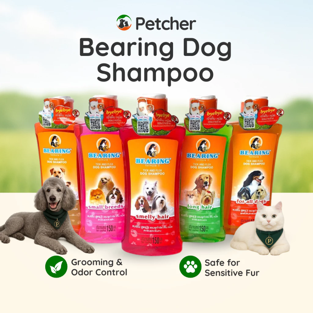 46% OFF Bearing Tick and Flea Dog Shampoo for All Breeds Gentle Grooming Hair Coat Care and Hygiene Formula