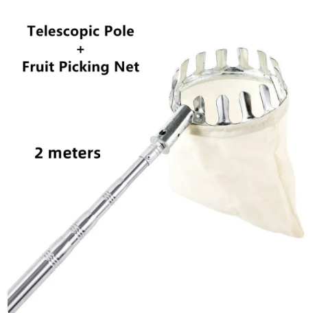 86% OFF Yoqu Fruit Picker with Long Pole Fruit Picking Stainless Steel High-altitude Rod Artifact Telescopic Rod