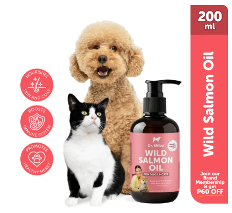 2% OFF Dr Shiba Healthy Wild Premium Salmon Oil for Dogs & Cats | Promotes Healthy Heart | Boosts Immune System | Rich in Omega-3, EPA Fatty Acids & DHA | Natural source of vitality