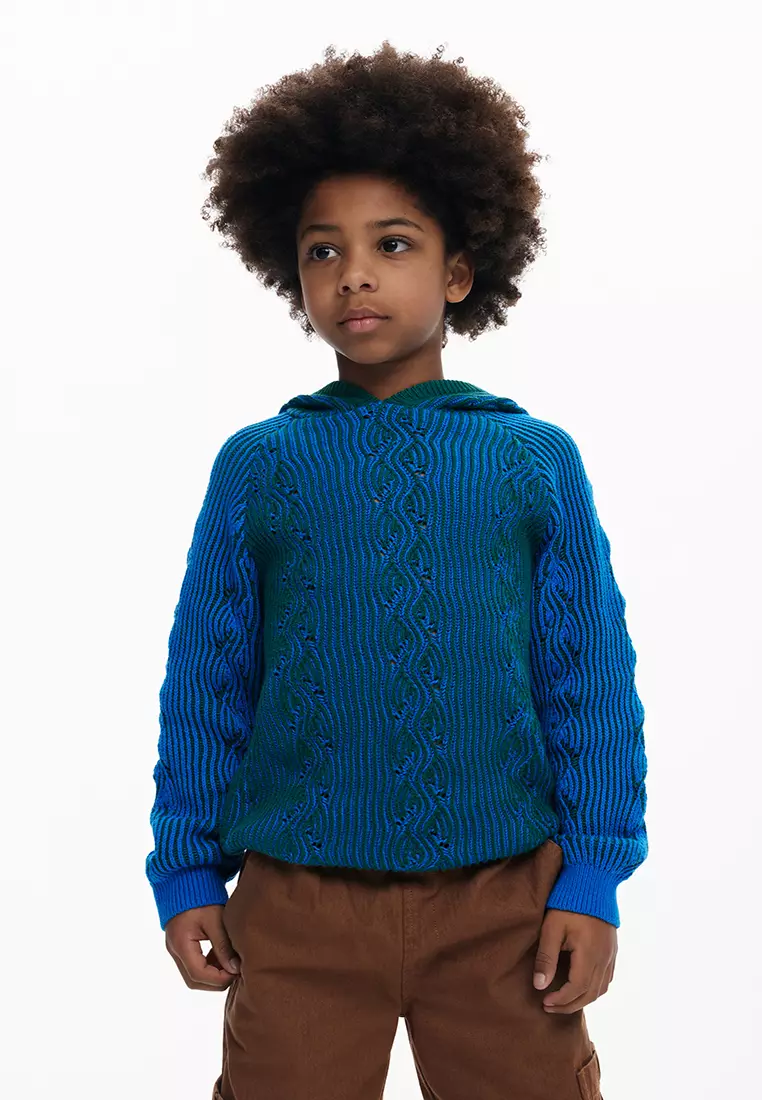 50% OFF Desigual Blue hooded sweater