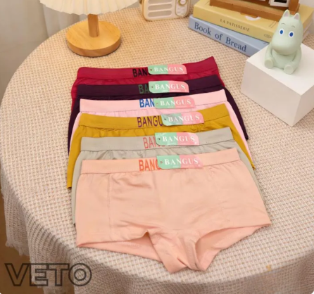 46% OFF COD 6/12 PCS comfortable for summer 12PCS Women Underwear Cotton Panties Low Rise Boxers Shorts Boyshort Minimalism Girls Ladies Knickers for Women