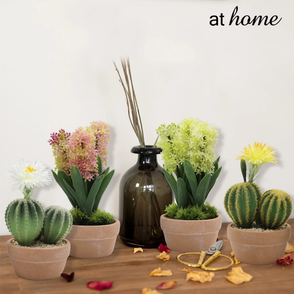 68% OFF AT HOME Decor Harper Decorative Artificial Cactus Plant Pot – Nordic Home Office Decoration