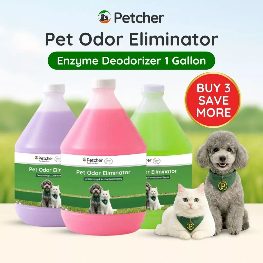 52% OFF Petcher Pet Enzyme Deodorizer 1 Gallon Bundle | Pet Poop and Pee Odor Eliminator and Surface Cleaner