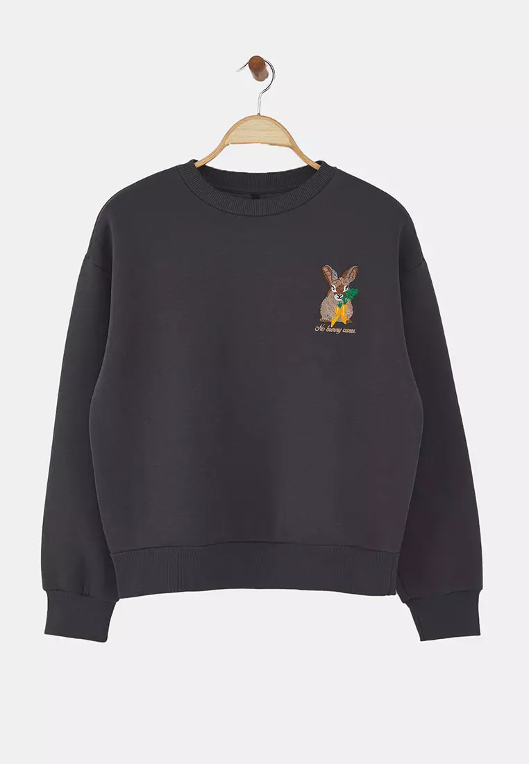 36% OFF Trendyol Anthracite Animal Embroidered Regular/Normal Pattern Thick Polar Fleece Knitted Sweatshirt Twoaw24Sw00196