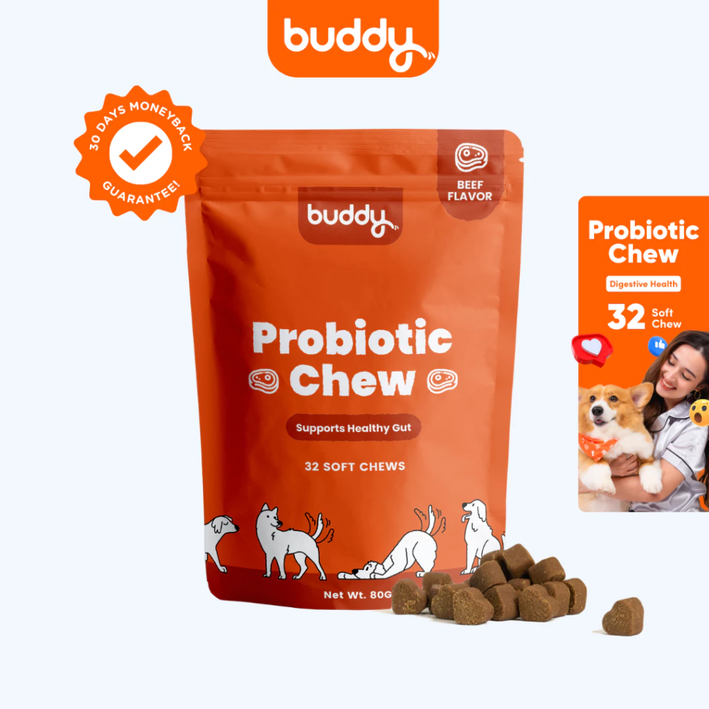 16% OFF Buddy Probiotic Chew Functional Dog Treats for Dogs Healthy Gut 32 Soft Chew (80g)