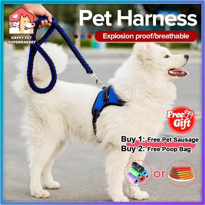 58% OFF【New design,more secure】Dog Leash Harness Breakaway Collar Belt Neck Pet Harness With Flexi Retractable Reactive Bungee Leash Explosion Proof Breathable Lace Heavy Duty Bridge Adjustable Chain