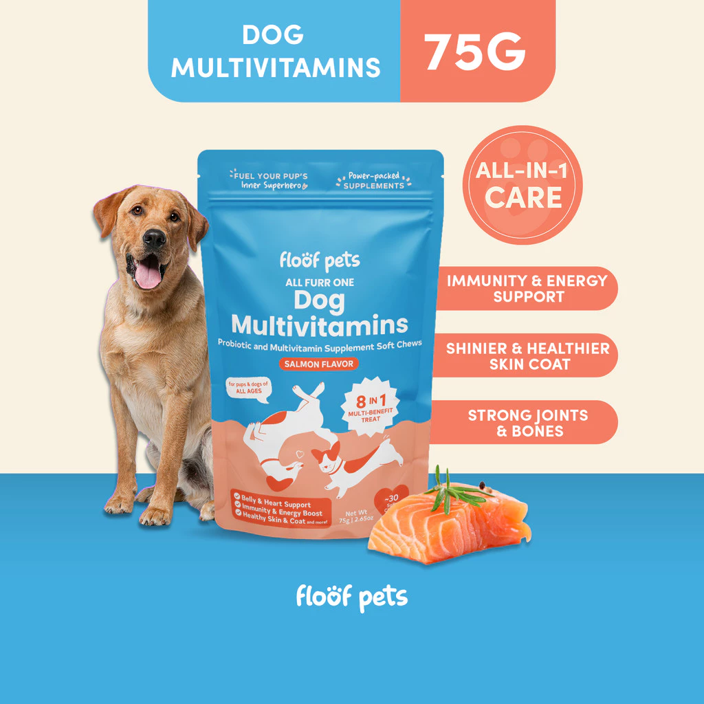 21% OFF Floof Pets 8-in-1 Dog Multivitamins 30 Chews (75g) Pet Supplement Treat Snacks for Complete Health