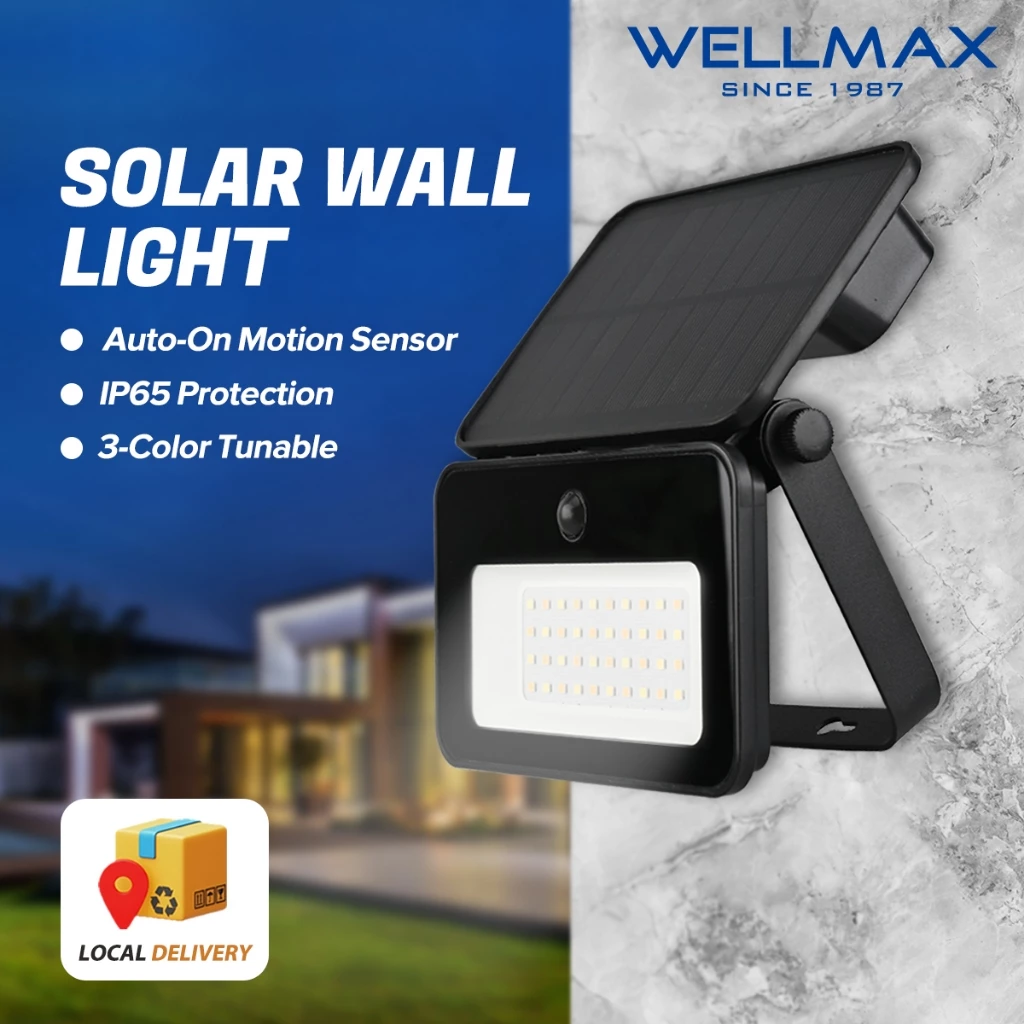 62% OFF WELLMAX Solar Light Auto-on Motion Sensor Solar Charging Light for Garden Wall
